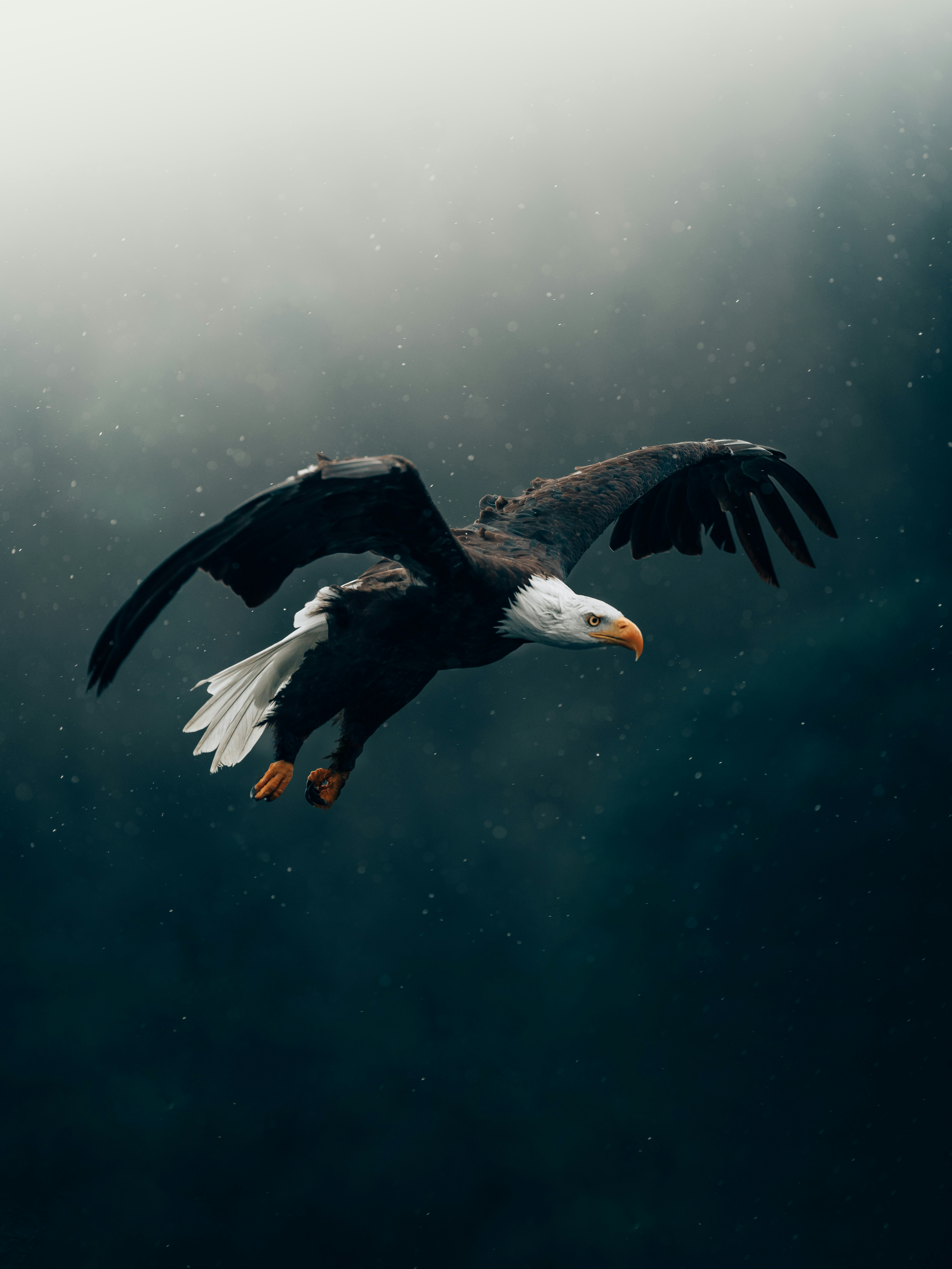 Photo by Philipp Pilz on Unsplash